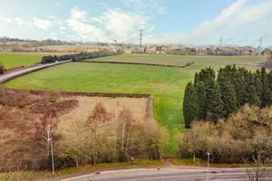 Photo 2- click for photo gallery